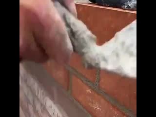 Идеальная работа bltfkmyfz hf,jnf