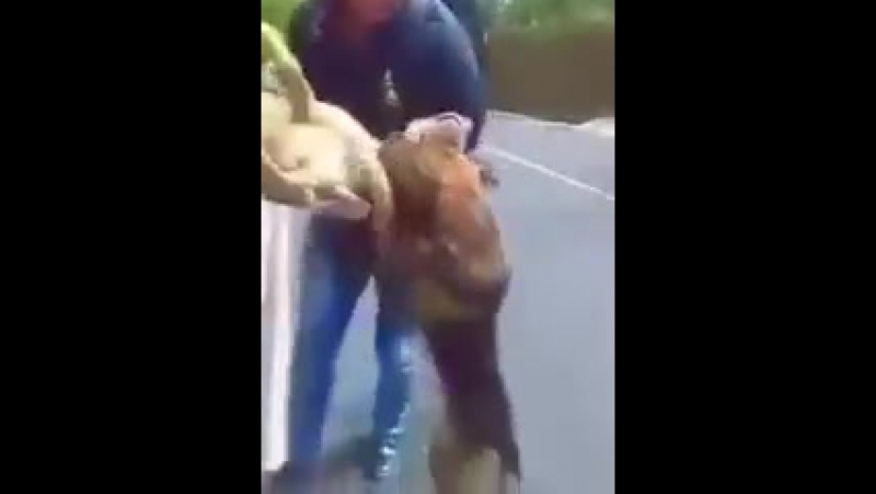 Не бросайте друзей