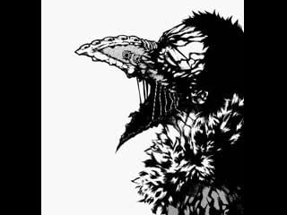 ⊱ kai chisaki | boku no hero academia