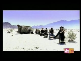 Tito tarantula after dark 1996