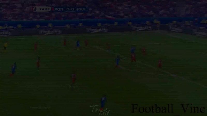 Руй патрисиу стена сборной португалии toxi football vine