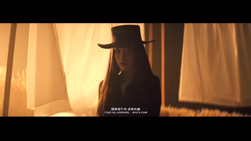 Lexie liu (刘柏辛) – a babel cat (巴别塔的猫)