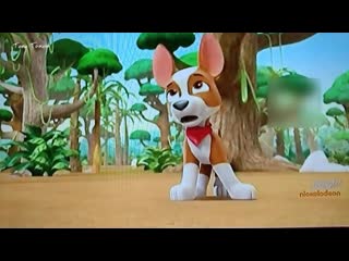 Paw patrol 《ayo, cakar kecil!》 [bahasa indonesia]