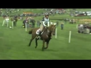 Anglo arabian snooze alarm lauren kieffer 2010 rolex xc