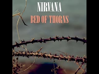 Nirvana bed of thorns (new studio version) [bass only]