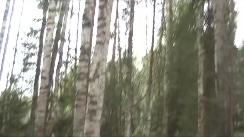 [уральские бродни] коп в глухом урочище, окружённом лесами (17 мая) #15