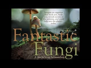 Fantastic fungi