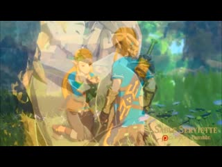 [the legend of zelda] sableserviette