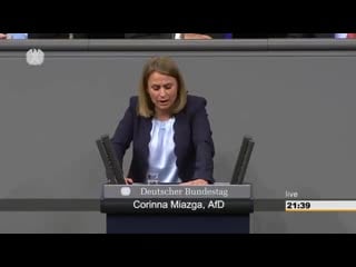 Fdp will eu demokratie agentur gegen desinformation corinna miazga am im bundestag