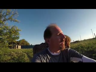 Nеvеr turn yоur baсk tо a wild сat!