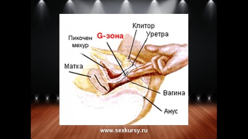 Как пробудить точку g сквирт