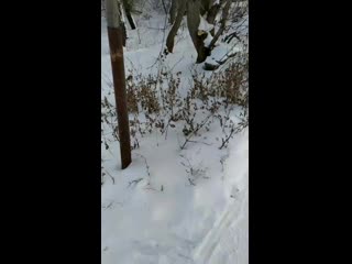 Vid 20201220 103610(1) mp4