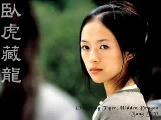 Crouching tiger, hidden dragon a love before time