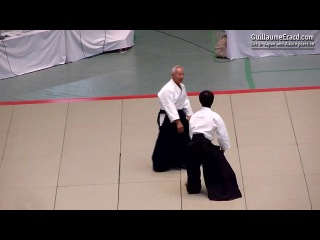 Aikido endo seishiro shihan 51st all japan aikido demonstration 2013