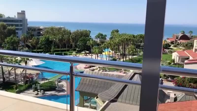 Arum barut collection