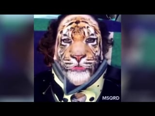 Подборка видео ирины горбачевой