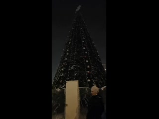 Зажигаем новогоднюю ёлку в солнечном