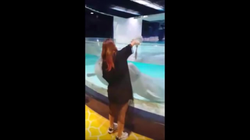 150730 live on periscope 씨스타 소유 soyou [18 seconds 18초]