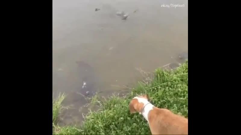 Супер рыбак!))