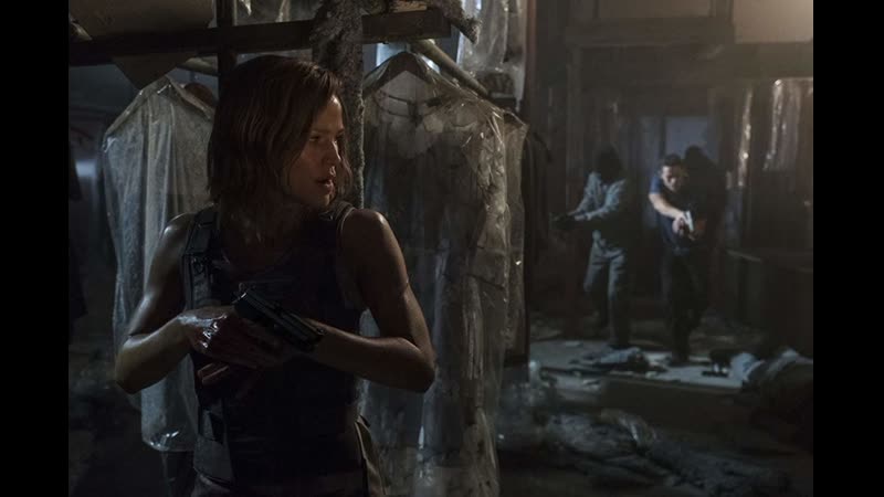 Багровая мята