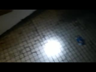 Vid 20201219 wa0111 mp4