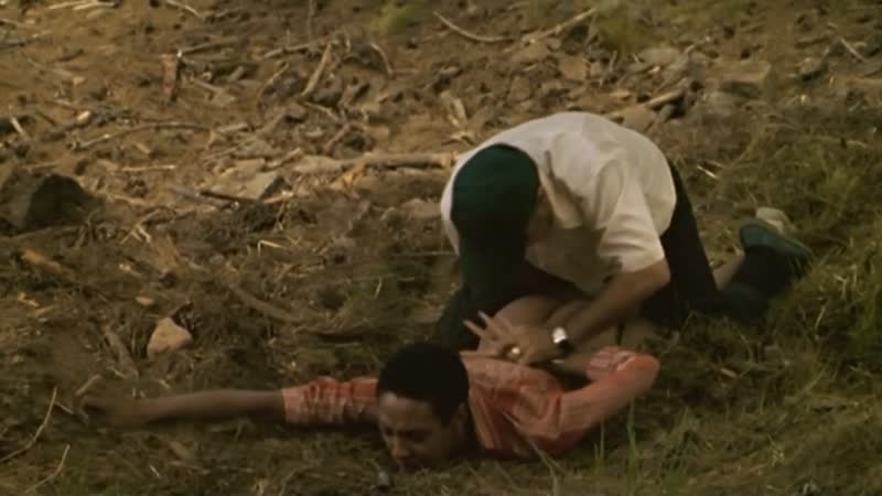 Джудит диакате ночь подсолнухов / judith diakhate la noche de los girasoles ( 2006 )