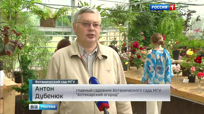 В "аптекарском огороде" открылась выстаа роз и декоративных кустарников