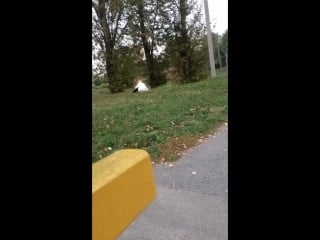 Бабка срёт на останое