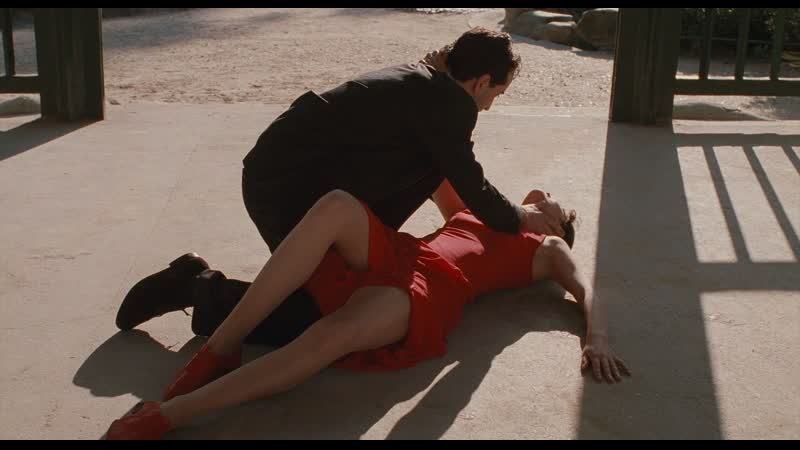 Верх, низ, хрупко | haut bas fragile | 1995