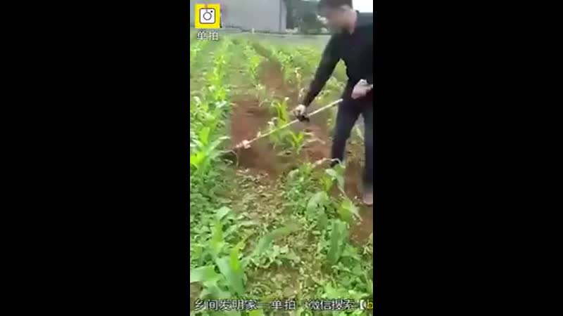 Сбор урожая