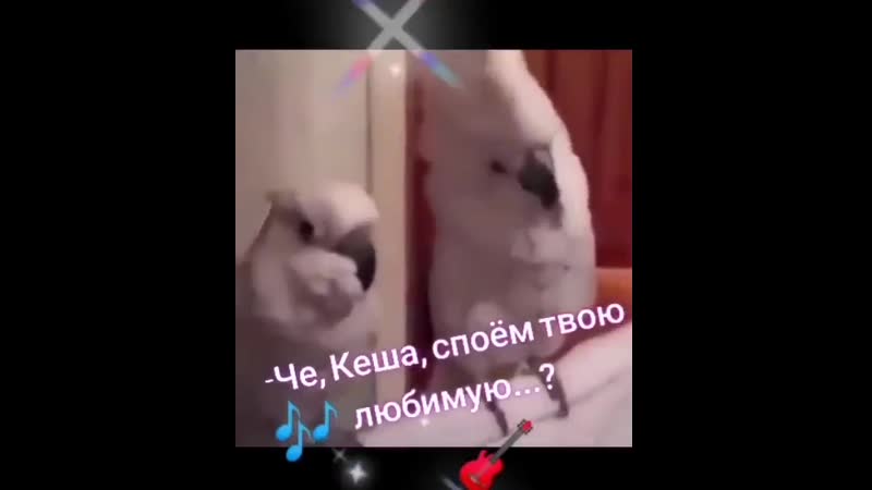 Споем любимую