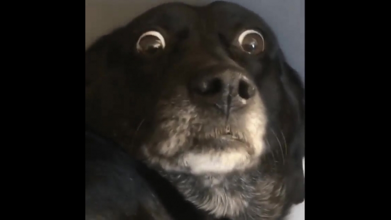 Когда вдруг что то заподозрил