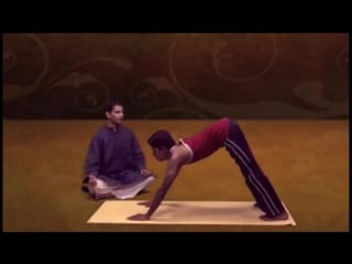 Yoga for digestion downward facing dog