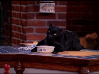 Salem saberhagen 2017 сэйлем сэйберхеген сэлем салем