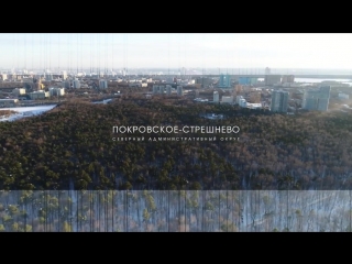 Покровское стрешнево март 2018