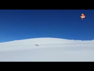 Прокуратура проверяет видео погони экстремалов на снегоходах за краснокнижным барсом