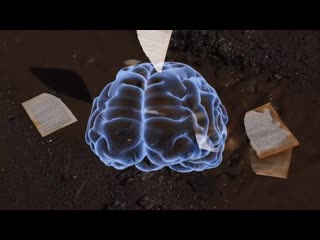 Тупым и счастливым