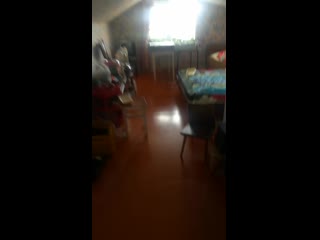 Vid 20200306 142946 mp4