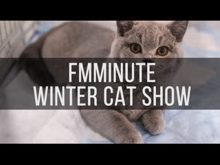 Fmmtv| winter cat show