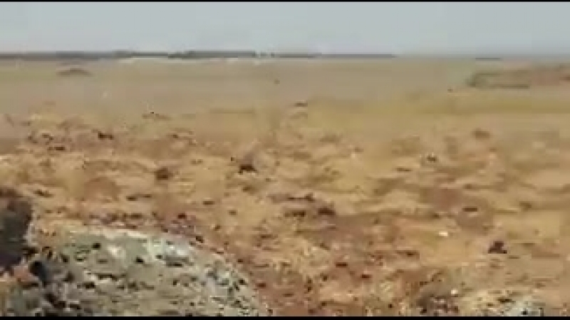 Сирия 25 06 2018 боевики заявляют об уничтожении бмп 1 саа в районе буср аль харира