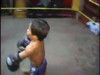 Dwarf midgets porn muay thai boxing nasty fighting