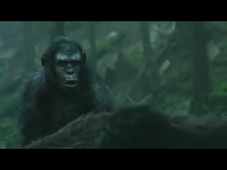 Опять ержан