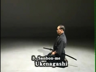 12 iaido kata seitei