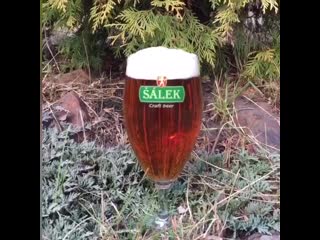 Salek amber lager