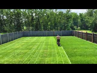 Time lapse of myself mowing the lawn is oddly satisfying to watch if you're in the dad demographic