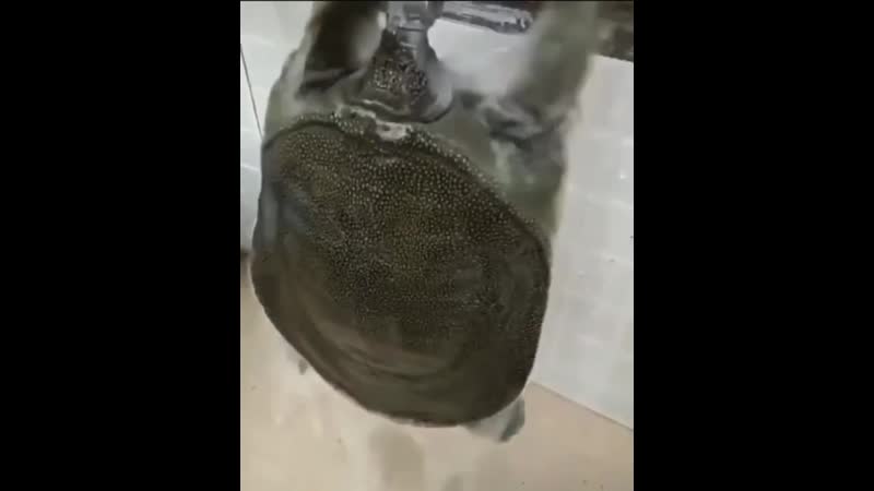 Пересмотрел много раз [ ]