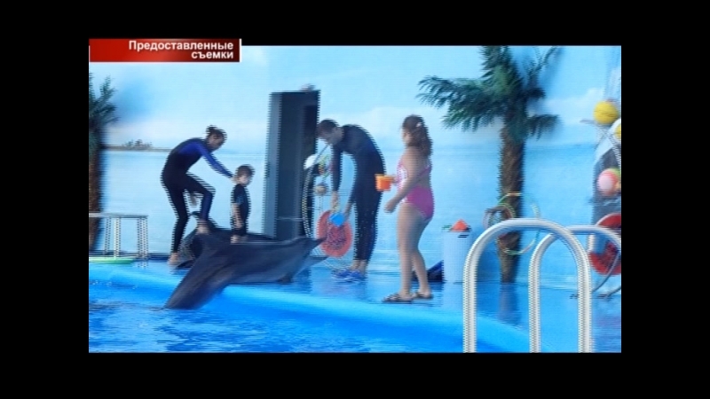 Жк "триумф нк" рассрочка на квартиру 6% годовых