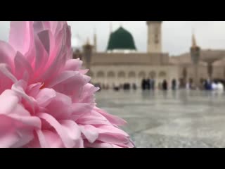 Amani a35 video 1552461966275 mp4