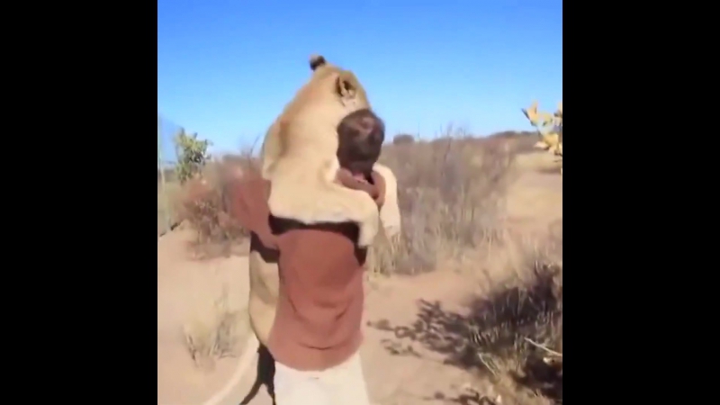 Hugs, you can watch this video many times =)