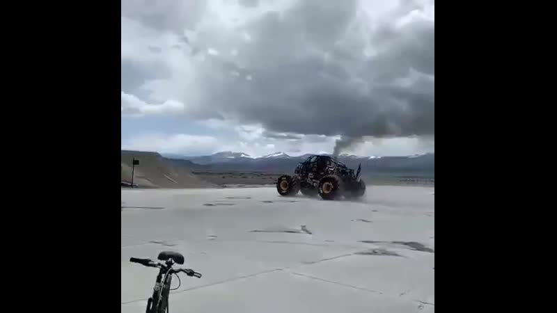 Когда много тестостерона